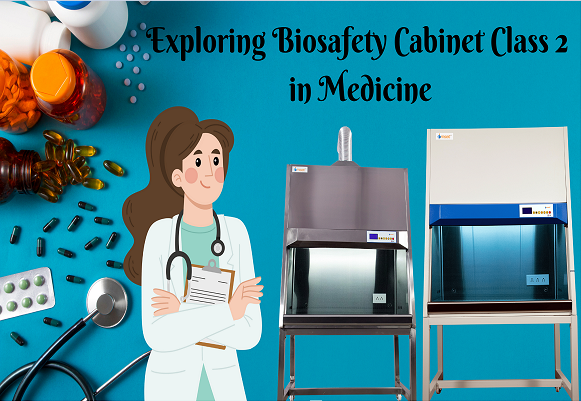 BIOSAFETY CABINET Manufacture by Imset